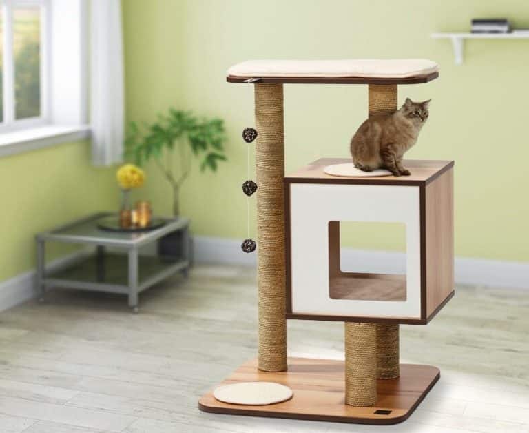 A Cat Tree: a gift for active cats