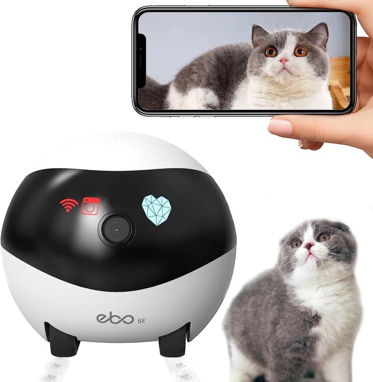 A surveillance camera for pets