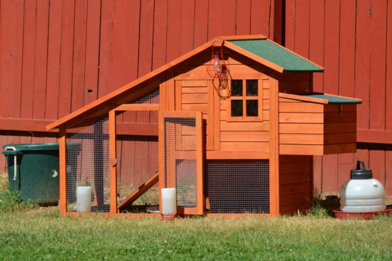 What are the rules to follow when building a chicken coop in my garden?