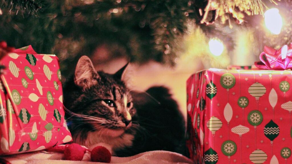 Christmas gift for animals: promo code, good deal… 4 ways to save