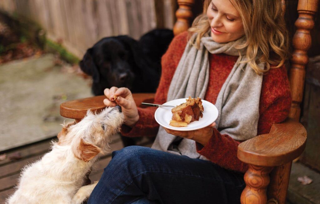Eat with your dog |  The duty