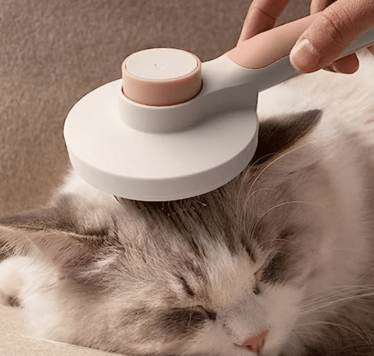 A brush for cats: the gift for a cuddly cat