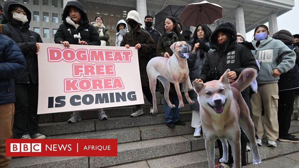 South Korea bans sale of dog meat despite opposition from older generations