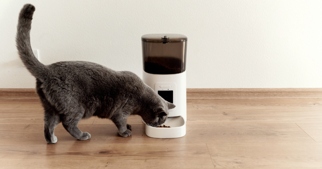 What are the best cat food dispensers?