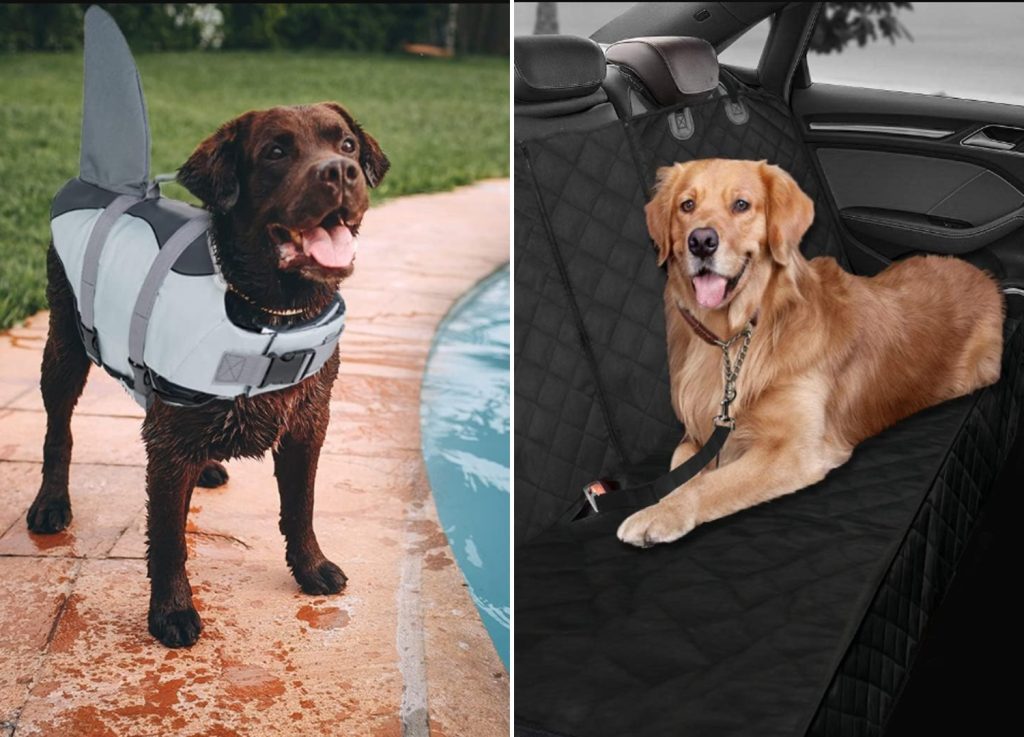 10 practical accessories with a dog